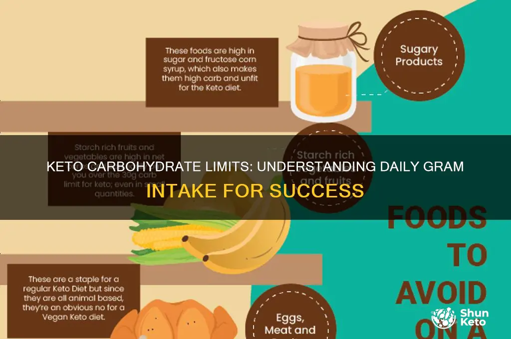 how many grams of carbihydrates in a keto diet