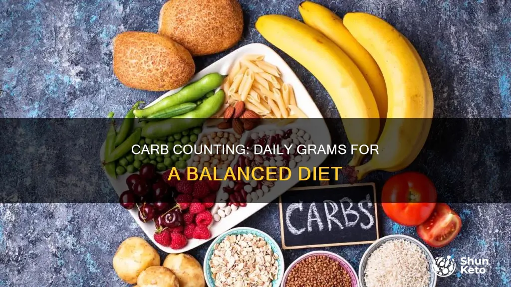 how many grams of carbs in a daily diet