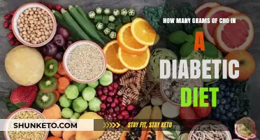 Managing Carb Intake: Diabetic Diet's CHO Gram Count
