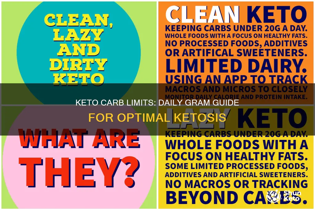how many grams of crbs per day on keto diet