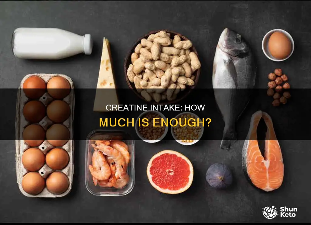 how many grams of creatine through diet per day