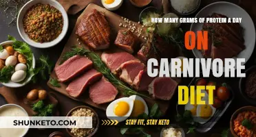 Protein Intake on a Carnivore Diet: How Much?