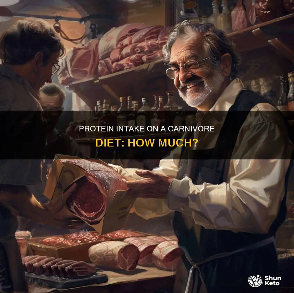 how many grams of protein a day on carnivore diet