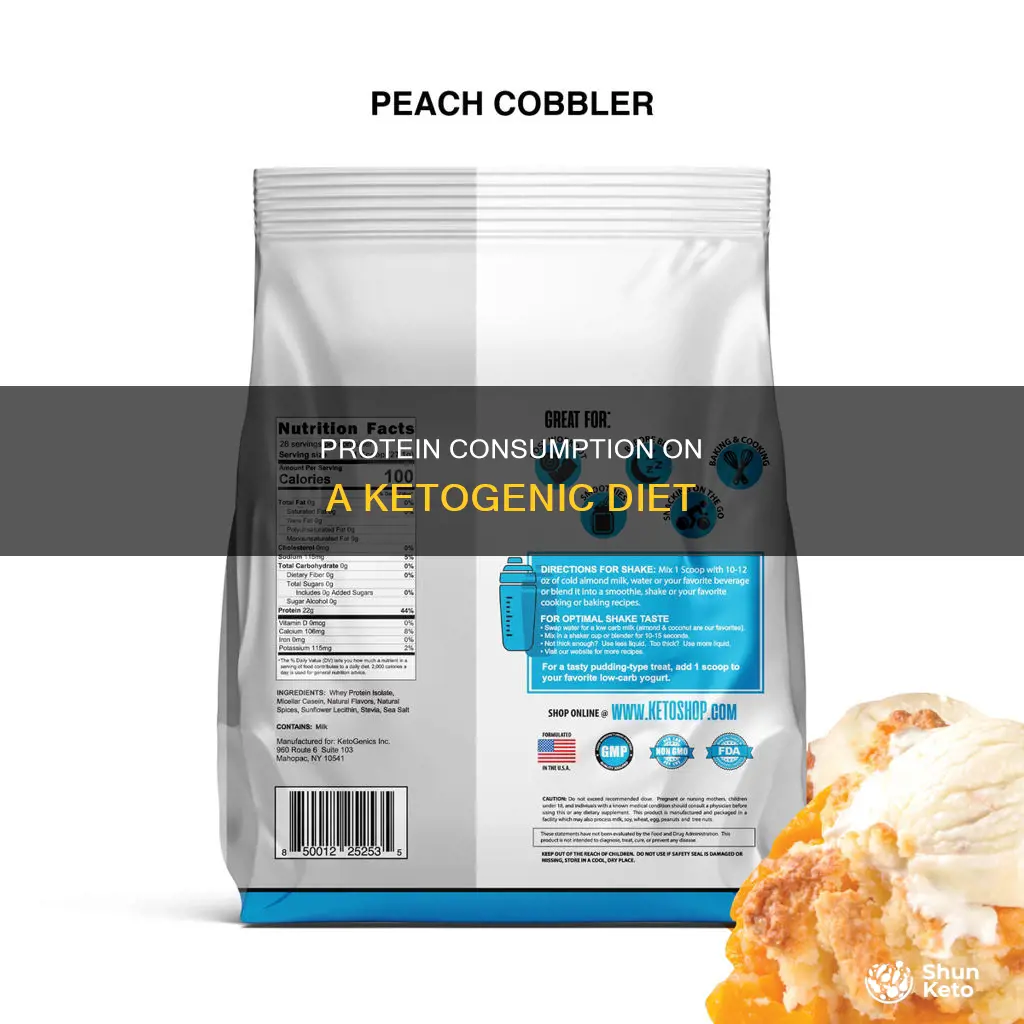 how many grams of protein a day on ketogenic diet