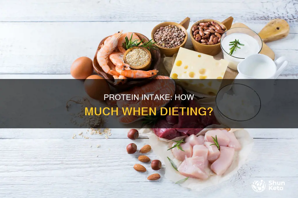 how many grams of protein a day when dieting