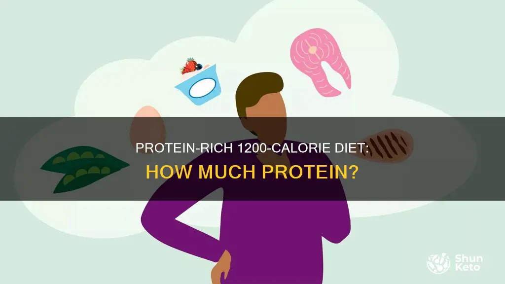 how many grams of protein for 1200 calorie diet