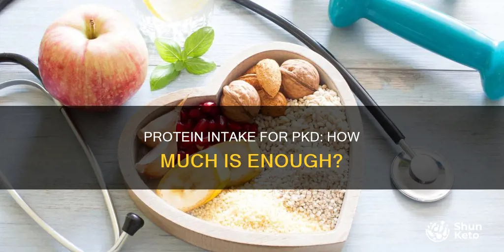 how many grams of protein for pkd diet