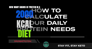 Protein-rich Diets: 2000 Kcal and 100+ Grams of Protein
