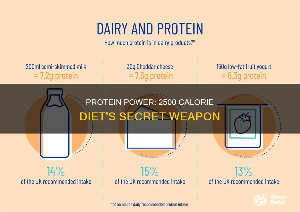 how many grams of protein in a 2500 calorie diet