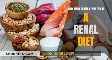 Protein Intake for Renal Diet: How Many Grams?
