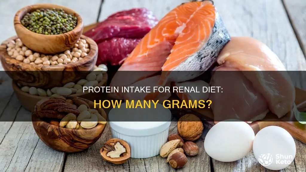 how many grams of protein in a renal diet