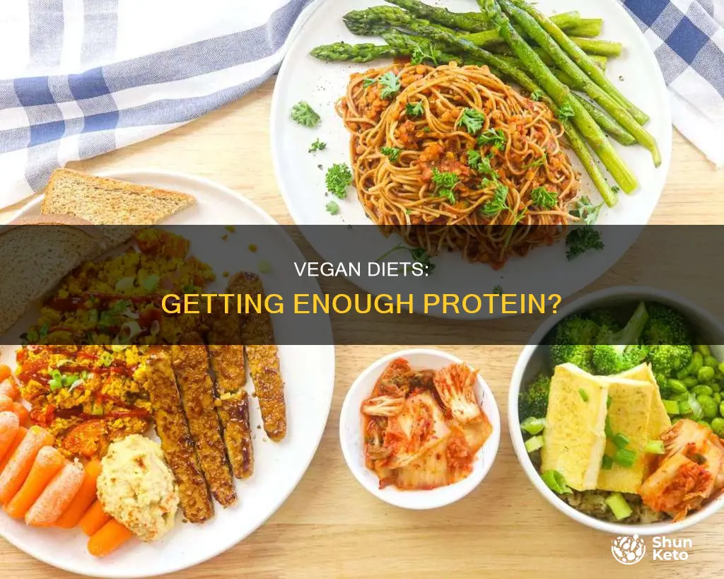 how many grams of protein in a vegan diet