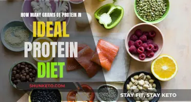 Protein Diet: Counting the Grams of Protein Intake