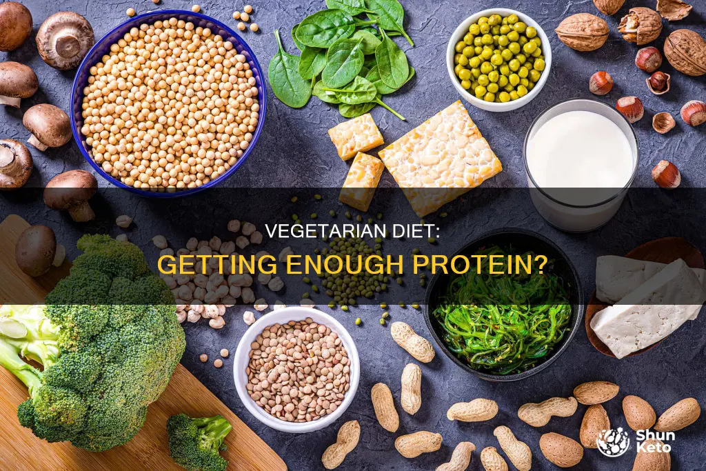 how many grams of protein in vegetarian diet