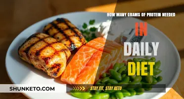 Protein Power: How Many Grams Do You Need Daily?