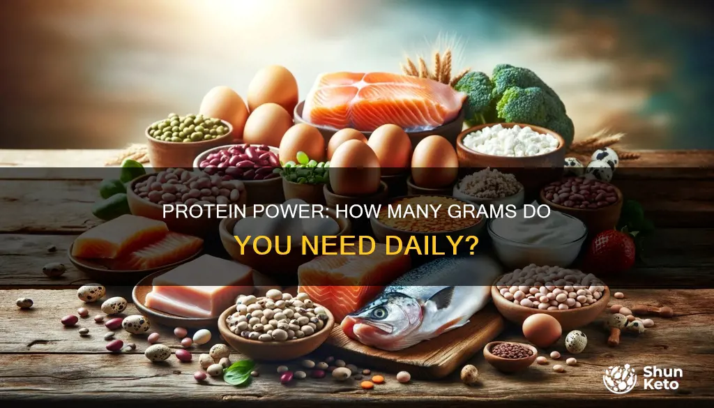 how many grams of protein needed in daily diet