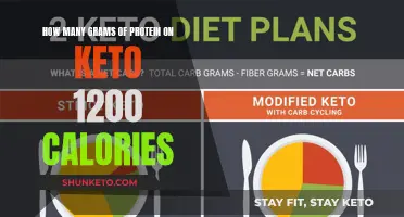 Protein Intake on a Keto Diet: 1200 Calorie Edition