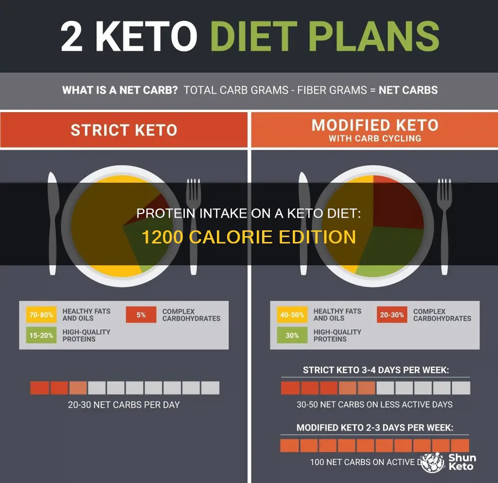 how many grams of protein on keto 1200 calories