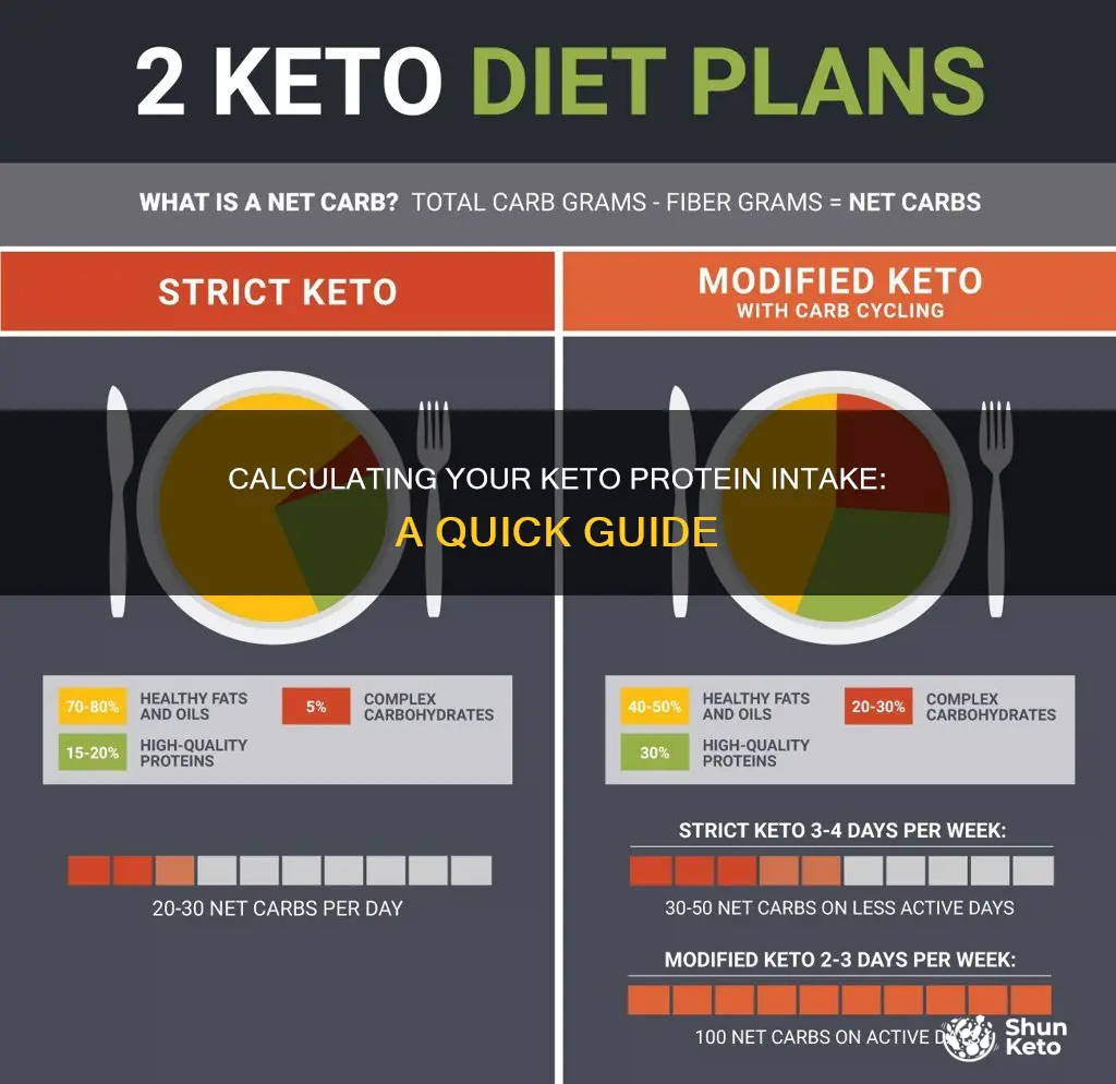 how many grams of protein on keto calculator