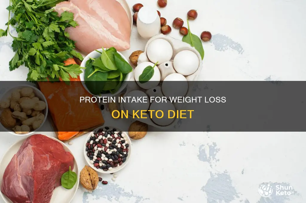 how many grams of protein on keto to lose weight