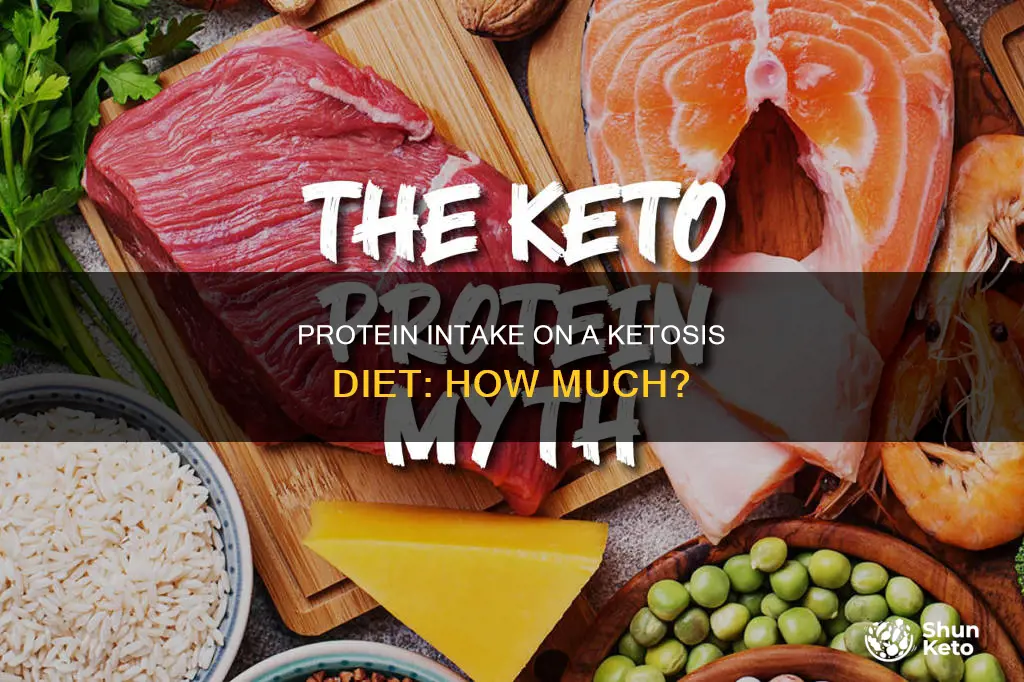 how many grams of protein on ketosis diet