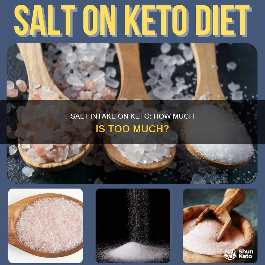 how many grams of salt a day keto