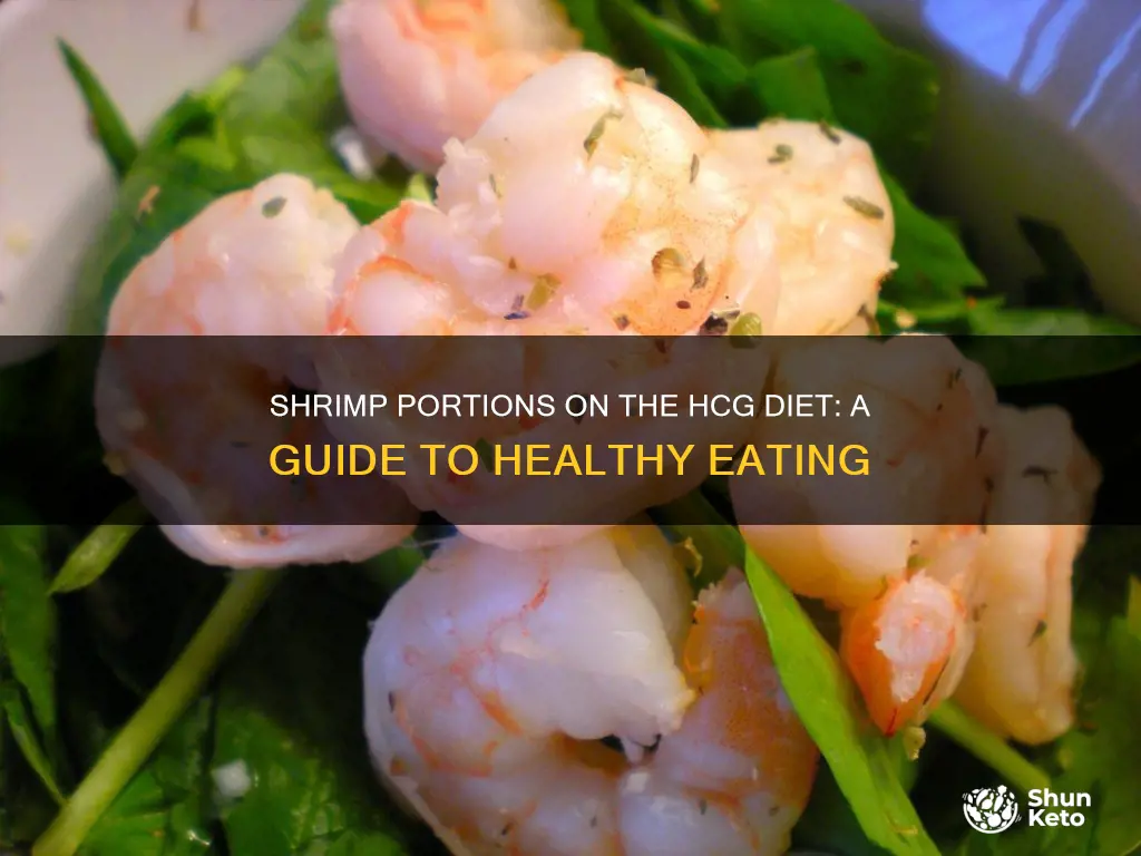 how many grams of shrimp on hcg diet