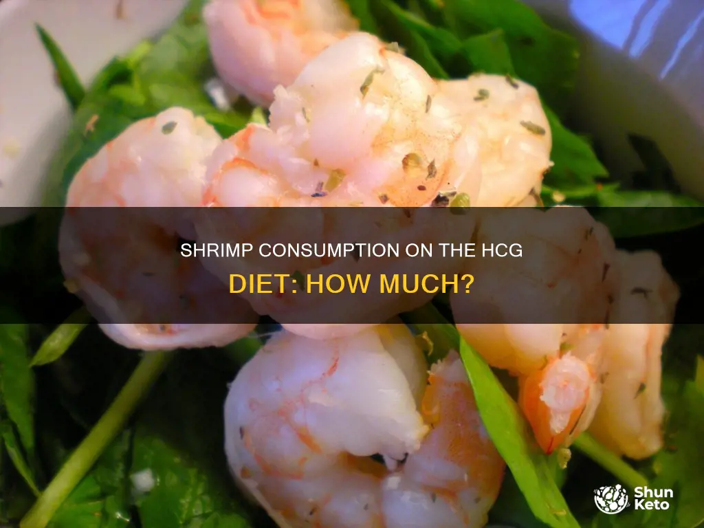 how many grams of shrimp on hcg diet