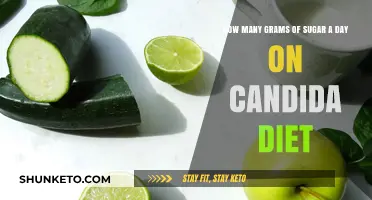 Sugar Intake on Candida Diet: How Much Is Safe?
