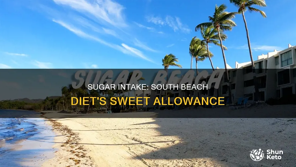how many grams of sugar per day south beach diet