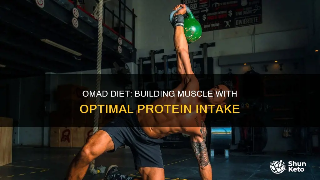 how many grams protein on omad diet build muscle