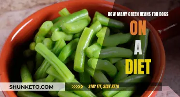 Green Beans for Dogs: How Many for Dieting?