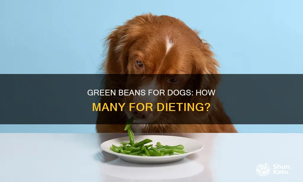 how many green beans for dogs on a diet