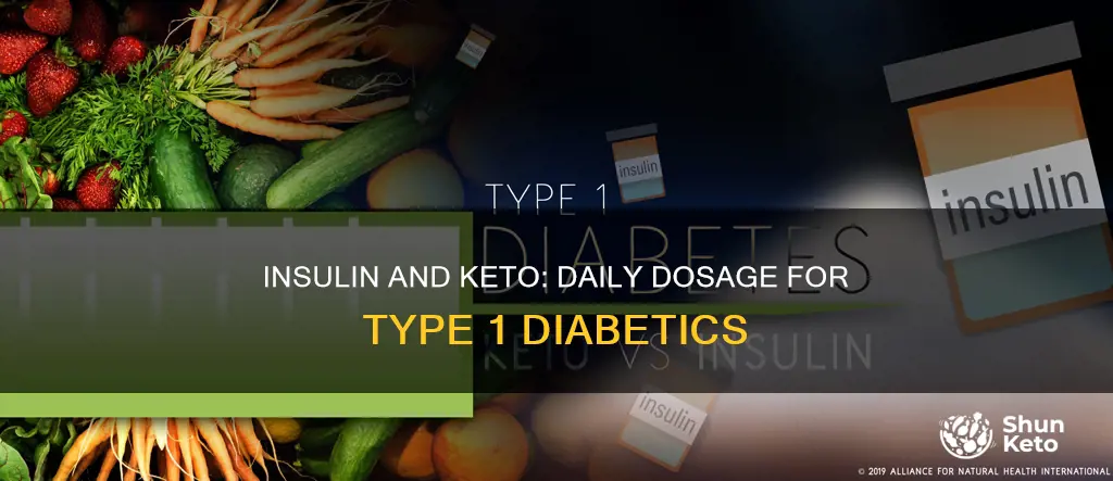 how many insulin per day for a t1d on keto