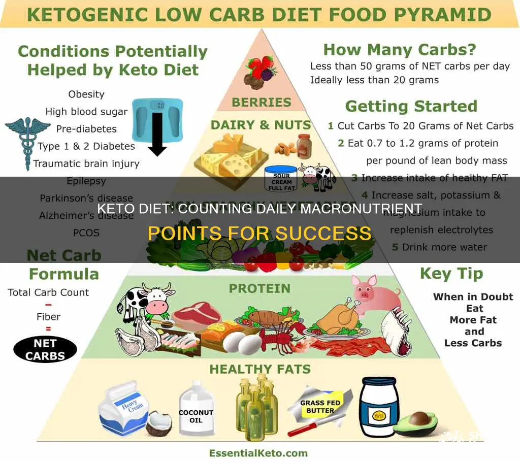 how many keto points per day