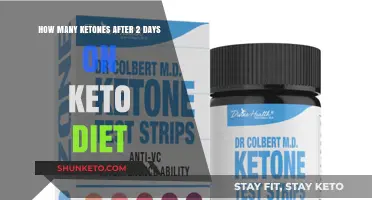 Ketone Levels Unveiled: Tracking Results After 2 Days on Keto