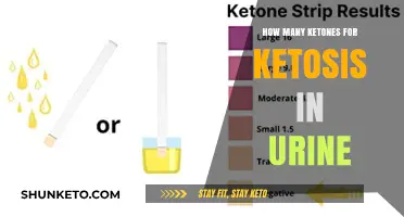 Ketosis in Urine: Understanding Optimal Ketone Levels for Effective Results