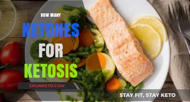 Ketosis Unveiled: Optimal Ketone Levels for Effective Fat Burning