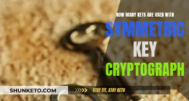 Symmetric Key Cryptography: Managing Multiple Keys