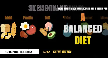 Macromolecules: Balancing Your Diet, Counting Proteins