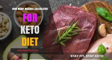 Mastering Keto Macros: Accurate Calculator Guide for Optimal Results