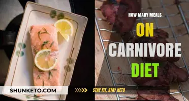 Carnivore Diet: How Many Meals to Eat?