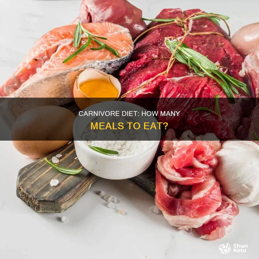 how many meals on carnivore diet