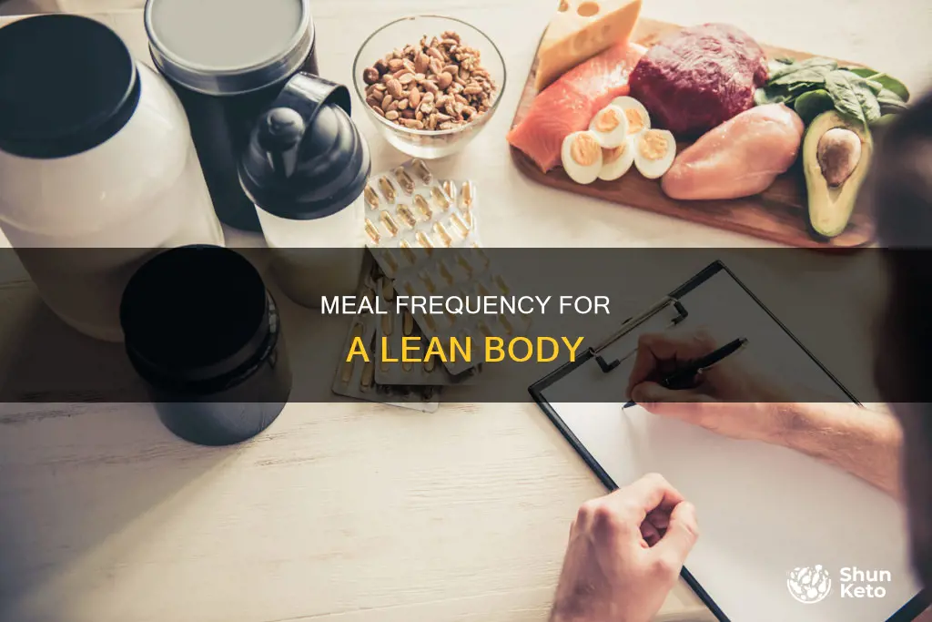 how many meals per day for a lean diet