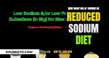 Sodium Savvy: Navigating the Reduced Sodium Diet