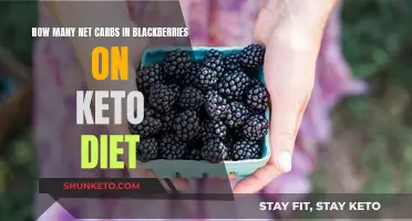 Blackberries on Keto: Are They a Good Choice?