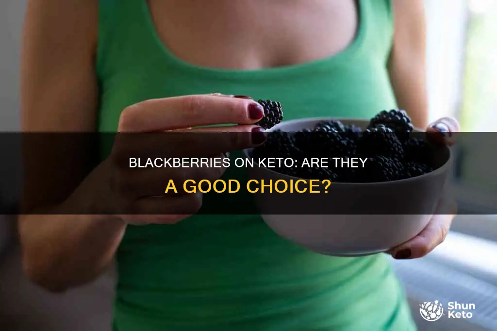 how many net carbs in blackberries on keto diet