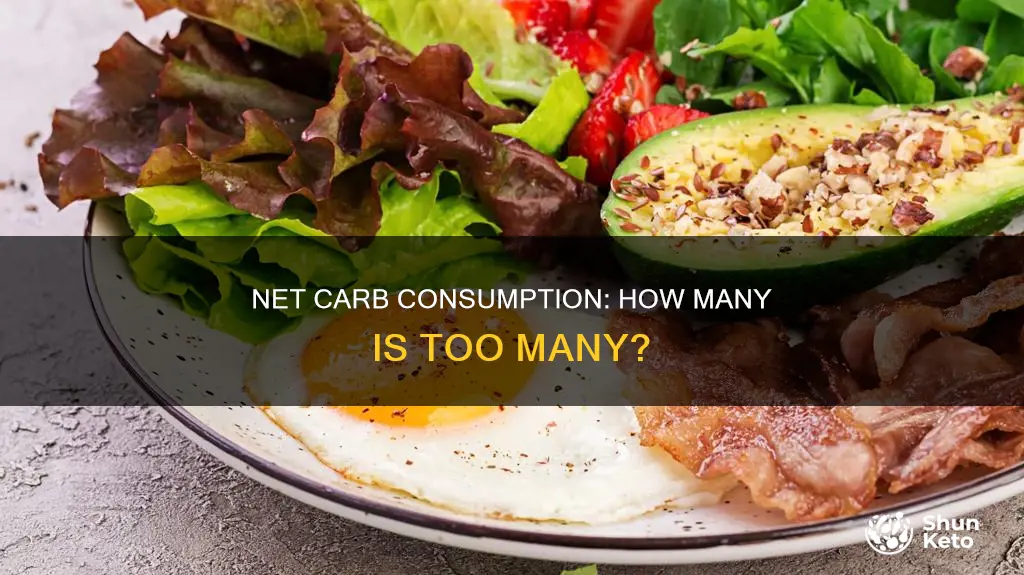 how many net carbs in diet
