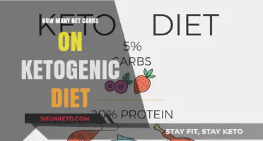 Net Carbs and Ketogenic Diet: Counting Your Intake