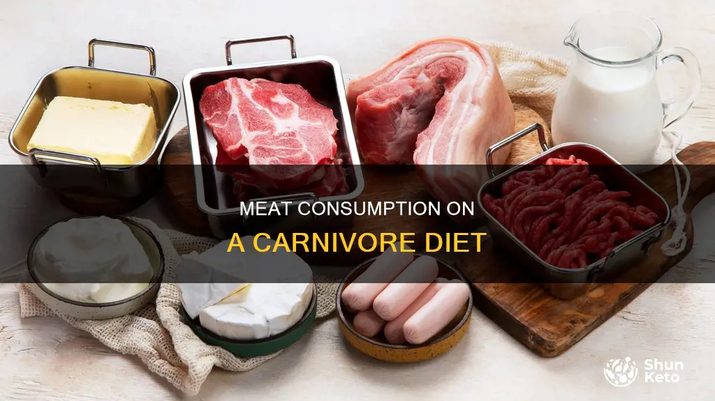 how many ounces of meat per day on carnivore diet
